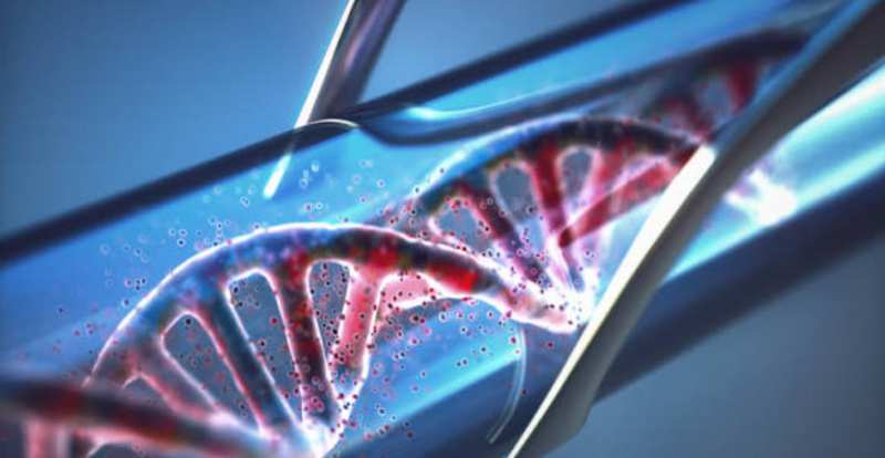 UC San Diego Scientists Expand DNA to Eight Letters
