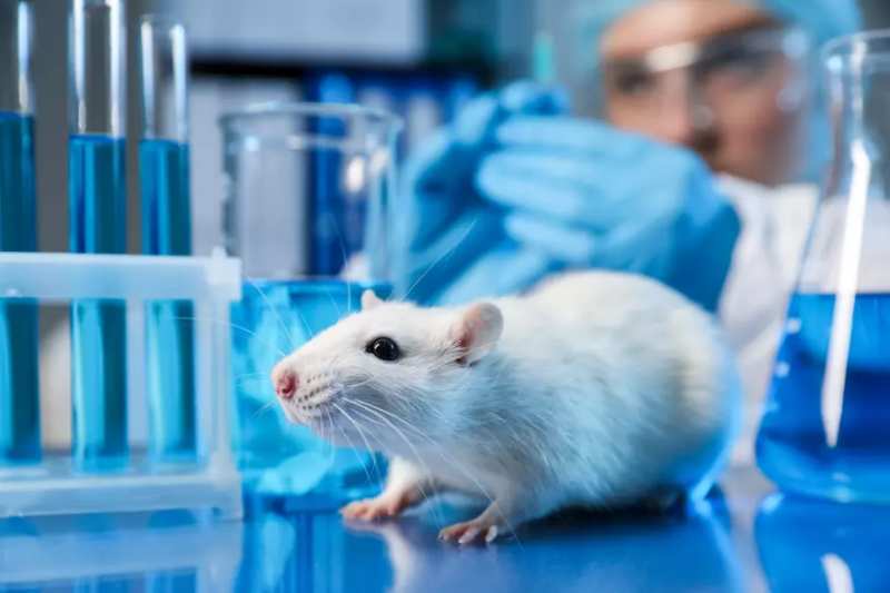 EPA Adopts New Non-Animal Testing Mandates for Pesticides