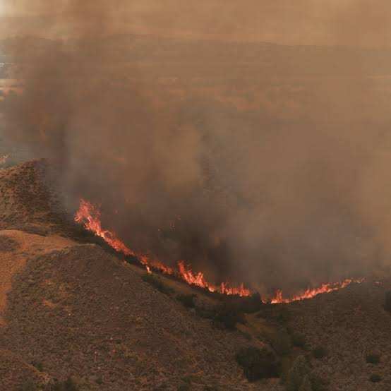 Australia braces for its own fire season after sweltering European summer