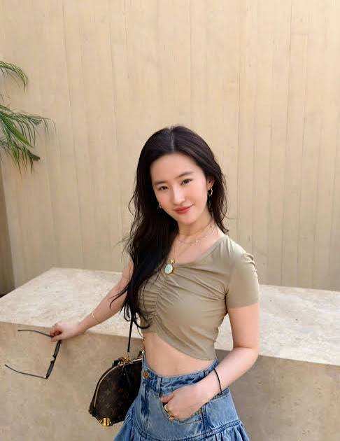 Liu Yifei Deletes Photo After Cropping Vietnamese Star