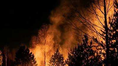 One dies in wildfire as Turkey continues containment effort