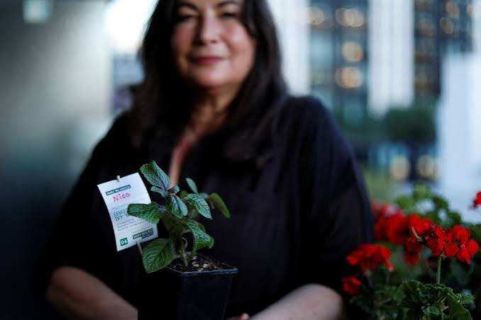 London 'plant parents' adopt a piece of historic Barbican urban jungle