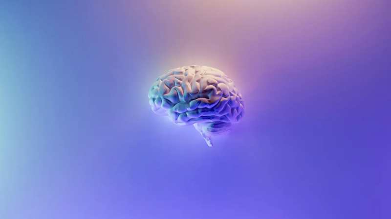 CloudScope Monitoreo Cerebral de 24 Horas