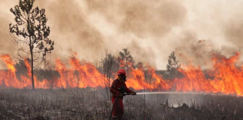 Incendios forestales en Indonesia desatan neblina tóxica en el sudeste asiático