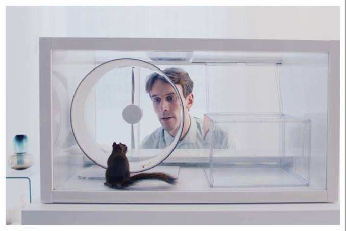 Markus Lehmusruusu’s Finnish Oscar Entry ‘The Squirrel’ Earns Aki Kaurismäki’s Stamp of Approval: ‘He Said It’s Like ‘2001: A Space Odyssey,’ but Better Because It’s Full of Humanism’
