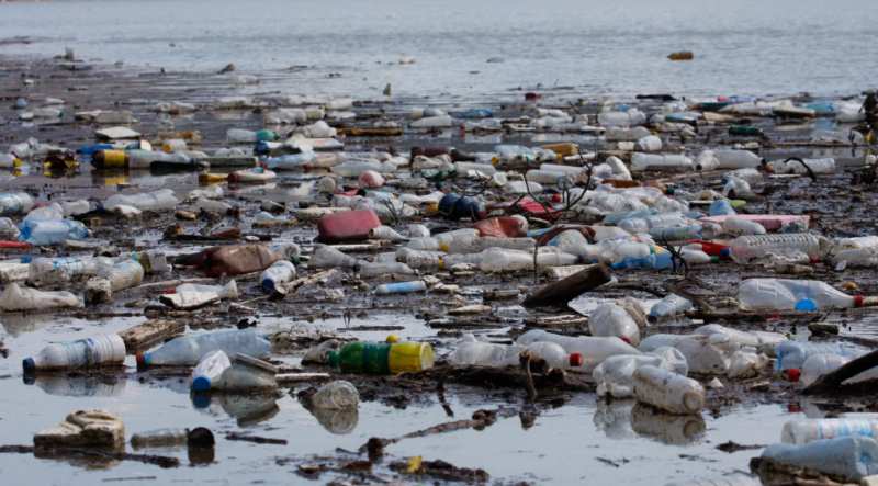 Rivers Flood Oceans With Microplastics