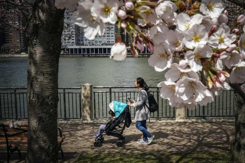 New York Study Links Air Quality Gains to Toddler Cognitive Scoring