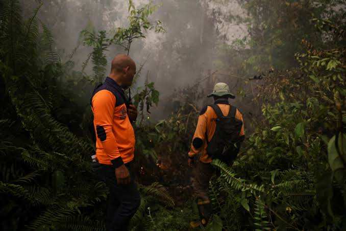 Grupos indígenas y de la sociedad civil demandan a Prabowo por respuesta a incendios forestales