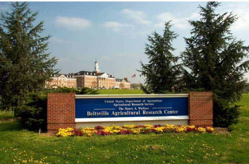 USDA Beltsville Lab Closure Forces Scientist Relocations and Threatens Critical Research