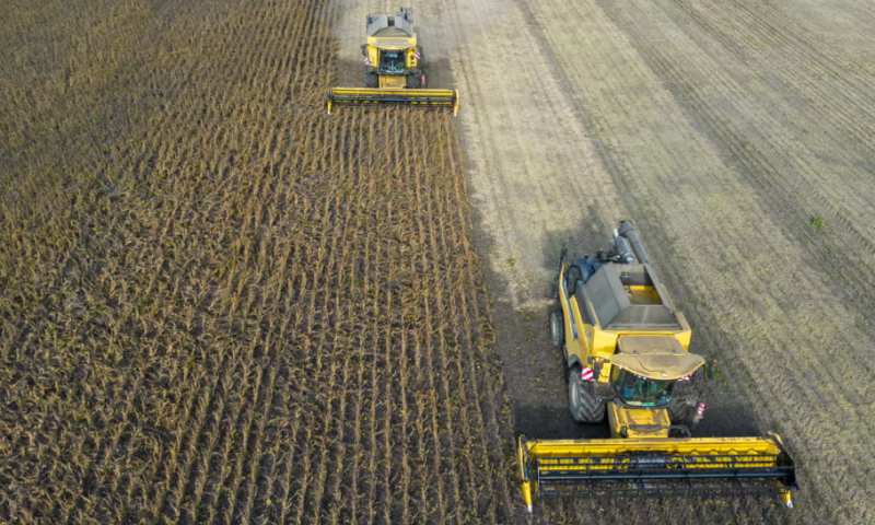 El Niño Trastorna el Mercado y Dispara Precios Mundiales de Alimentos