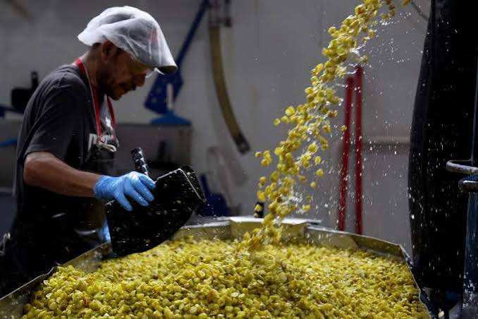 ماركوني المملوكة للعائلة تصنع الجياردينا التي تزين شطيرة اللحم البقري الإيطالية منذ أكثر من قرن