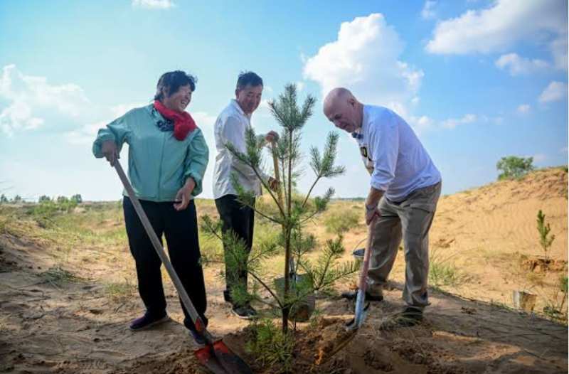 How an American teacher’s $5,000 donation helped turn a Chinese desert into a lush forest