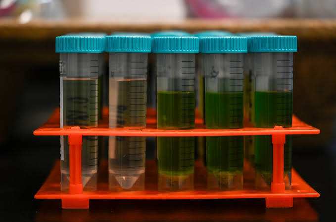 Colorado Marijuana Company Voluntarily Recalls Dozens of Contaminated Products Amid State Regulatory Delays