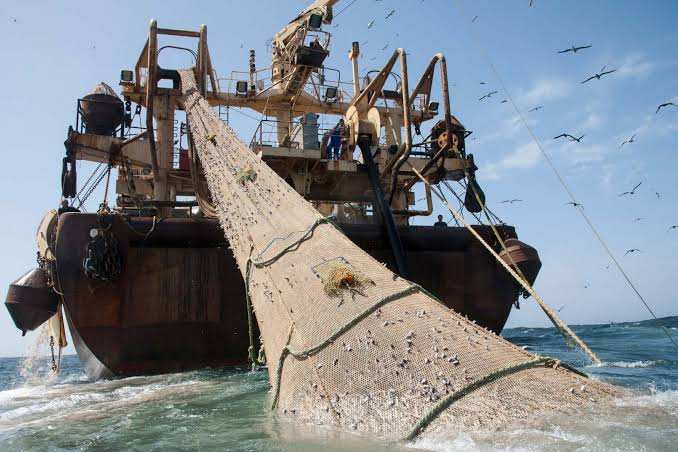 ‘Mega-Industrial’ Trawlers Threaten Europe’s Ocean Health