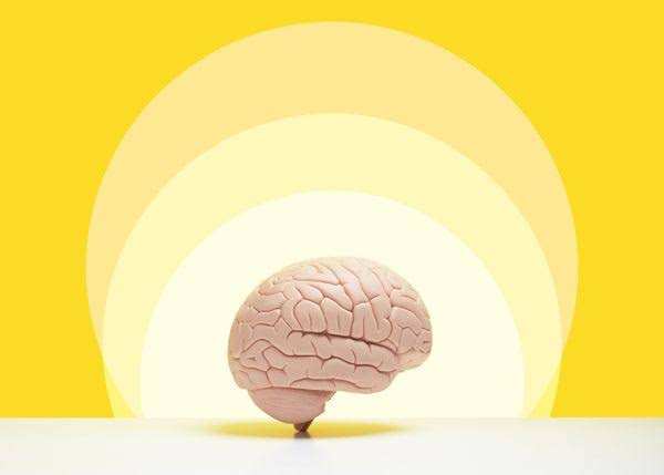 Comment le cerveau utilise la mémoire pour imaginer ce qui aurait pu être