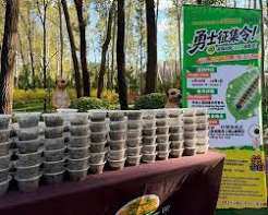 La caza de orugas festiva del parque de Beijing apunta al 'monstruo alimentario del bosque'