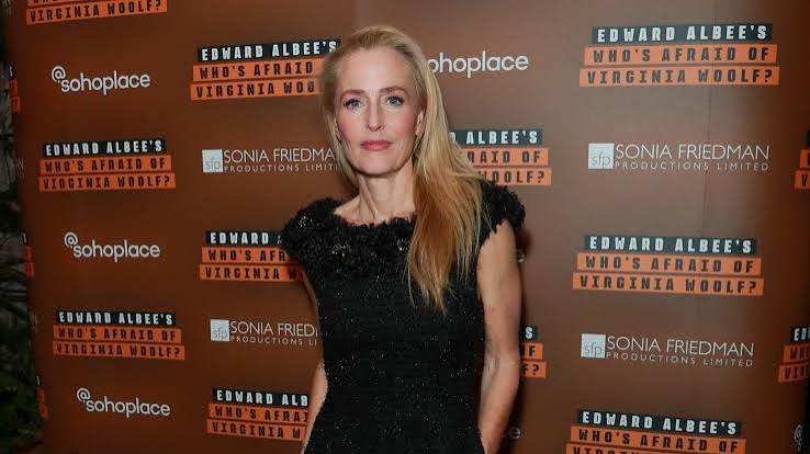 Gillian Anderson Responds to Backlash Over Telling Superfans to Stop Sitting in Front Row