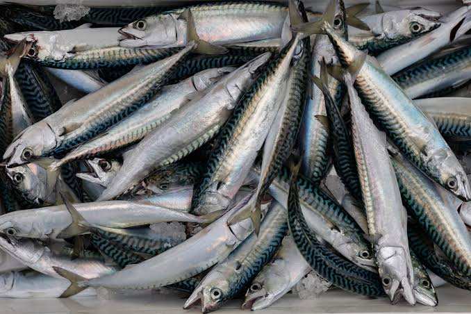Les détaillants avertissent l'industrie européenne de la pêche d'arrêter la surpêche