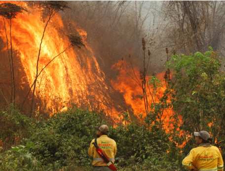 Red Fire Threatens Modoc County Forests