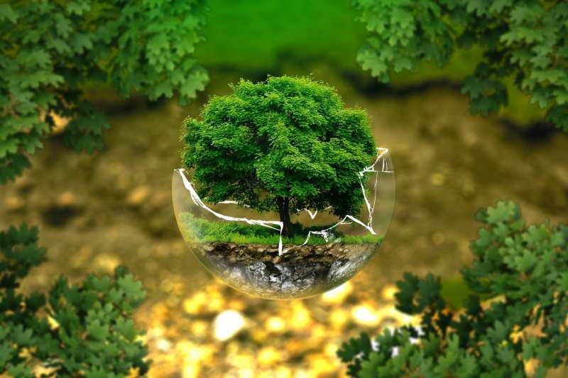 El clima acelera la mezcla de especies e insta a un cambio en la conservación