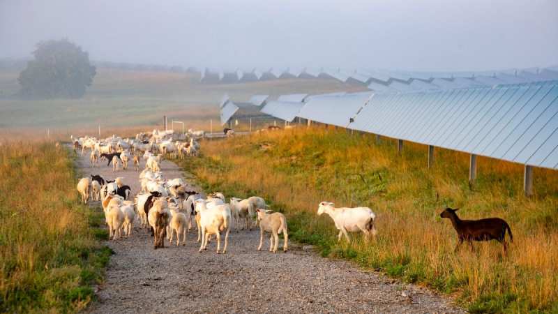 Trump Halts Rural Solar Program