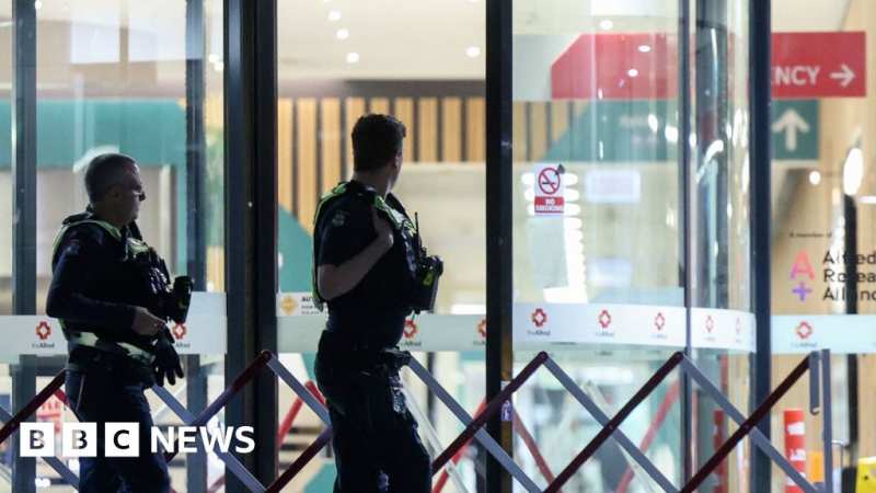 MP Helen Haines attacked by car in Wangaratta, police arrest suspect