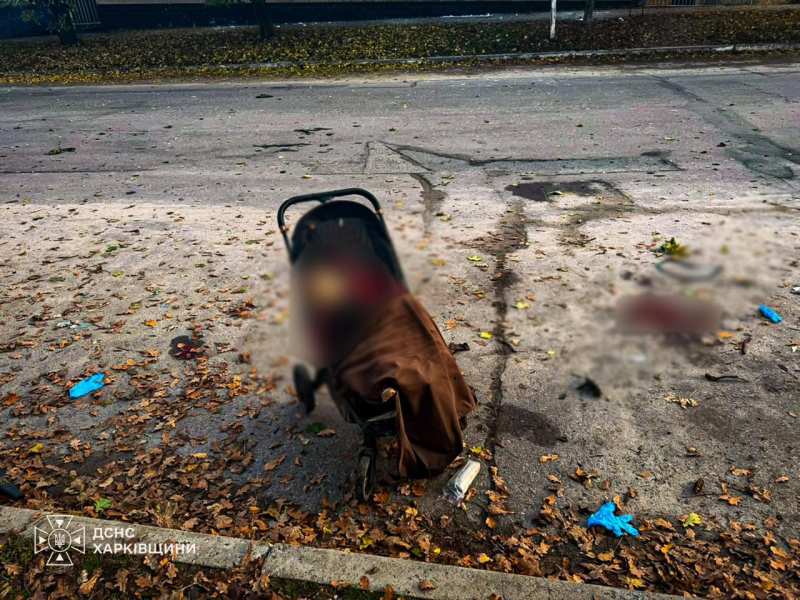Russian Drone Strike on Kharkiv Park Kills Children