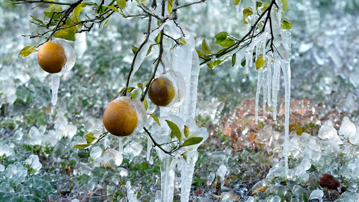 Ciclón bomba azota el este de Estados Unidos con fuertes nevadas y vientos