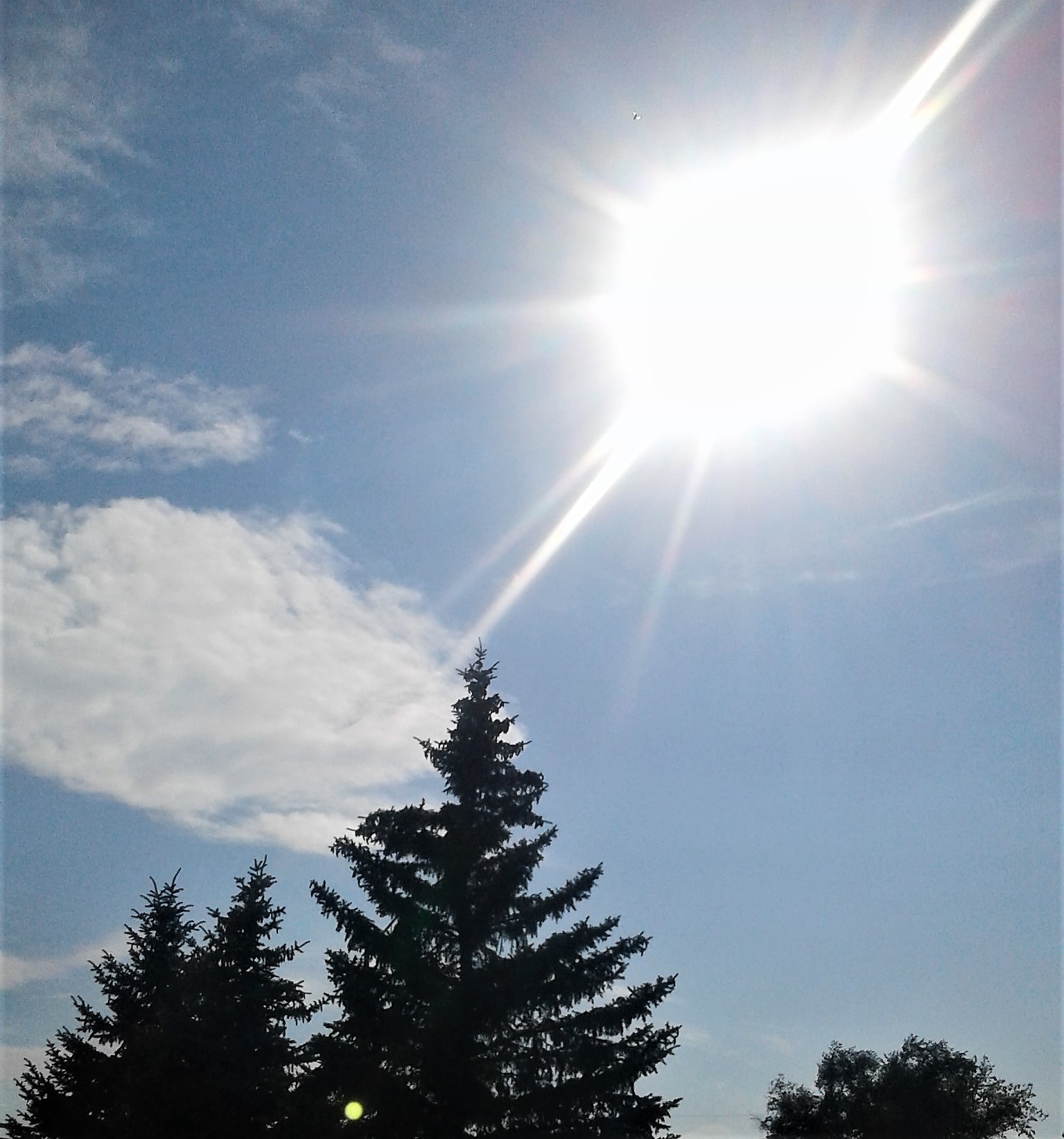 Above average temperatures forecast for Campbell County, cold front arrives late week