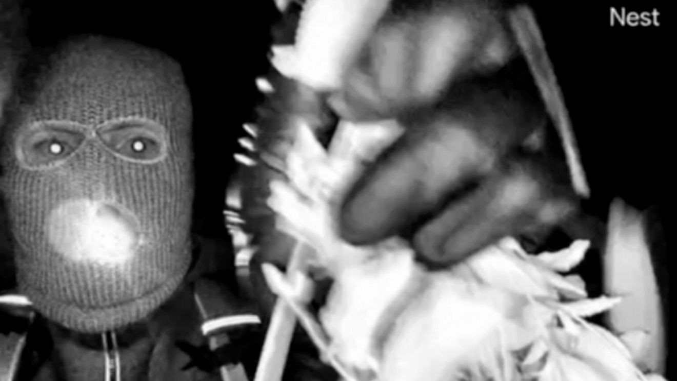 Tucson Sheriff: Glove DNA Returns No CODIS Match