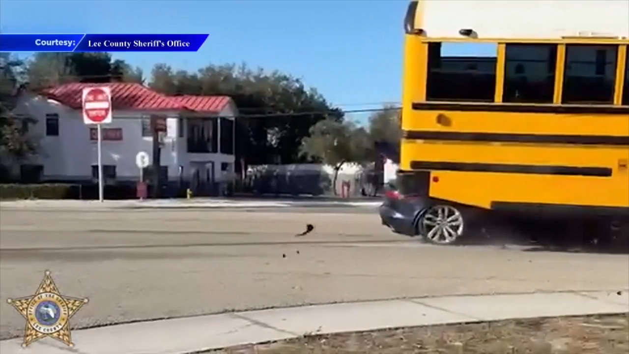 Jaguar wedges beneath stopped Lee County school bus