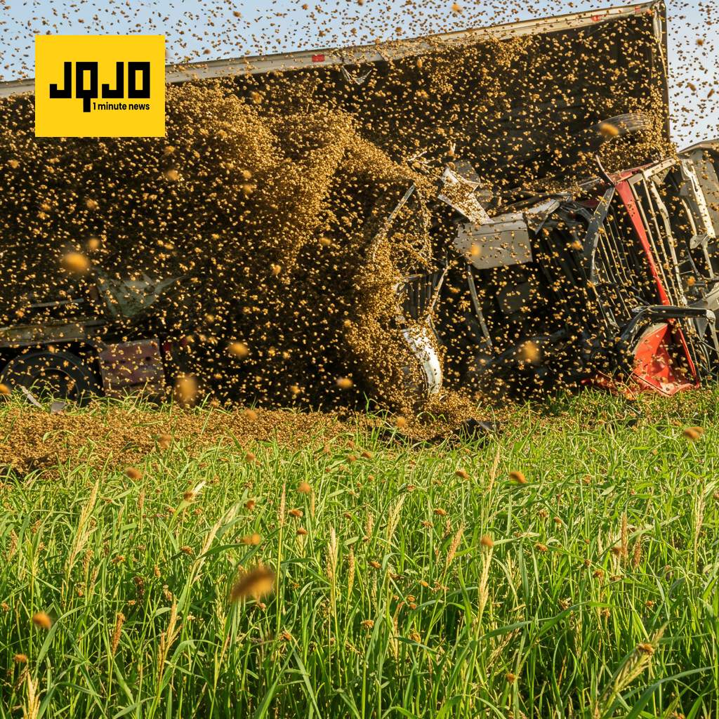 Millions of Bees Loose After Truck Crash