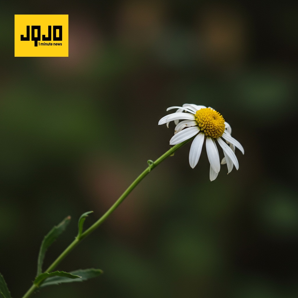 کیٹی پیری اور اورلینڈو بلوم نے بیٹی کے لیے علیحدگی اختیار کر لی