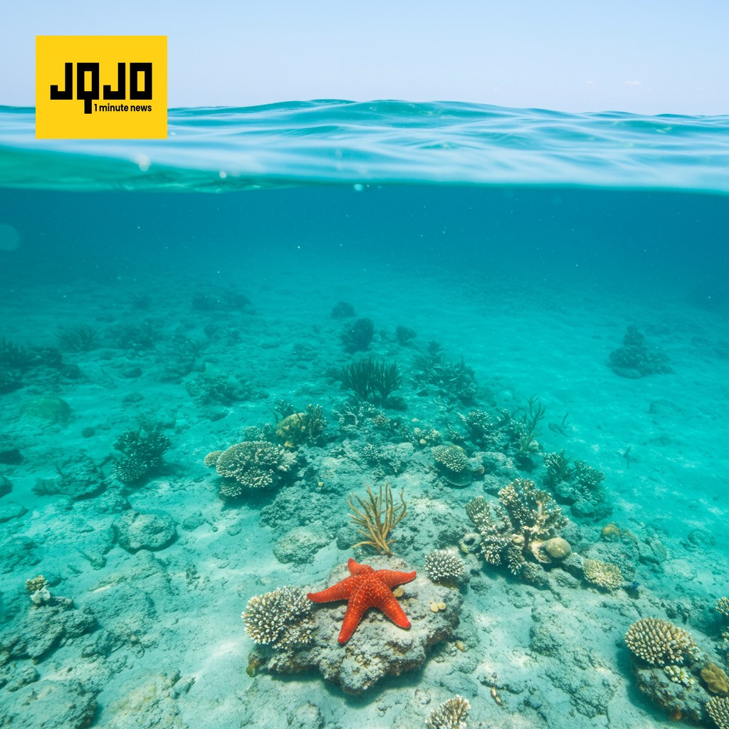 Mediterranean Sea Tropicalization Threatens Ecosystems