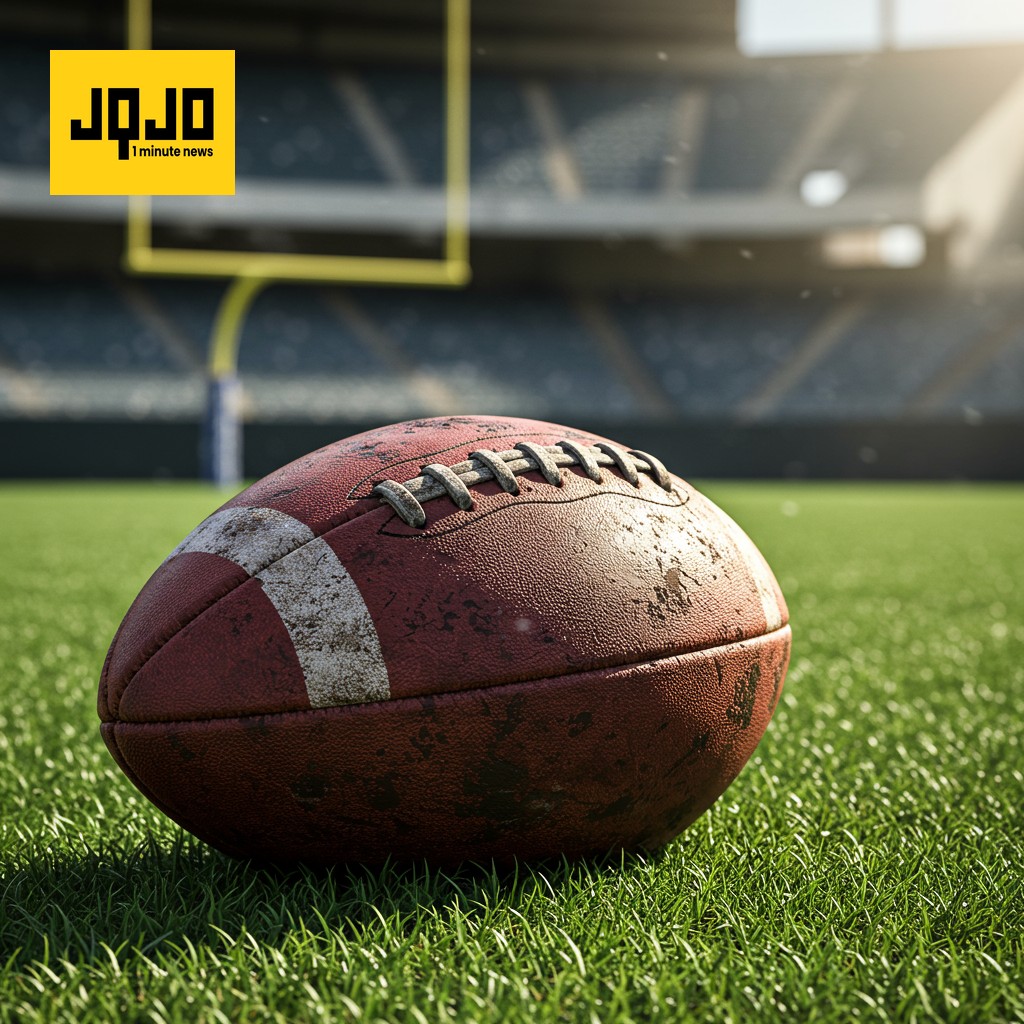 Les Steelers de Pittsburgh battent les Vikings du Minnesota à Dublin