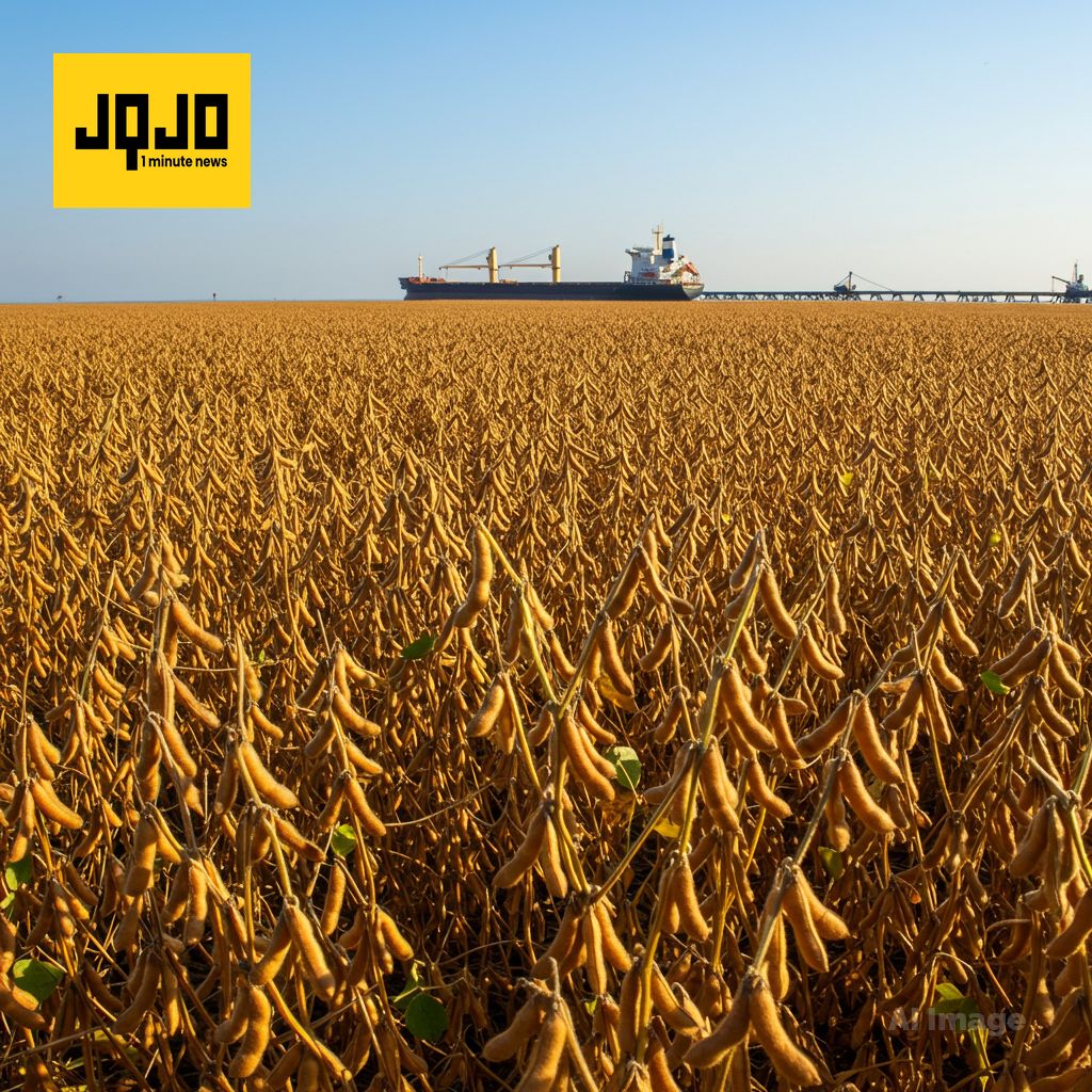 चीन भारी मात्रा में अमेरिकी सोयाबीन खरीदेगा: ट्रम्प