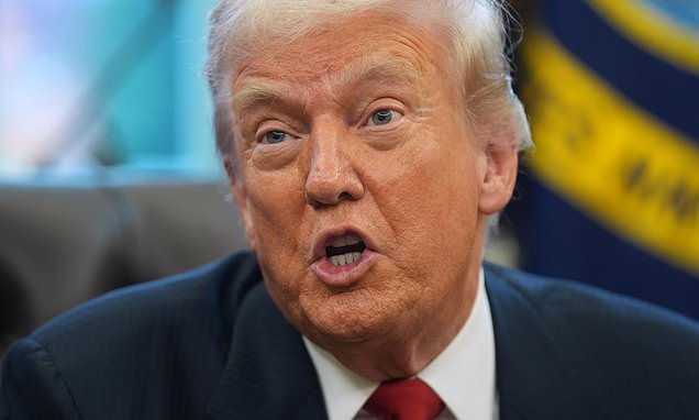 Trump Ends TPS for Minnesota Somalis, Sparking Debate