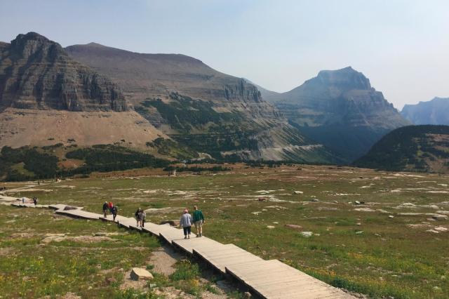 إلغاء الدخول المجاني في أيام العطلات الهامة واستبداله بعيد ميلاد ترامب