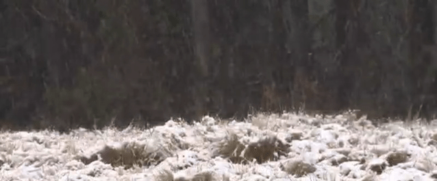 Les tempêtes hivernales apportent neige, fermetures et perturbations de voyage dans plusieurs régions américaines