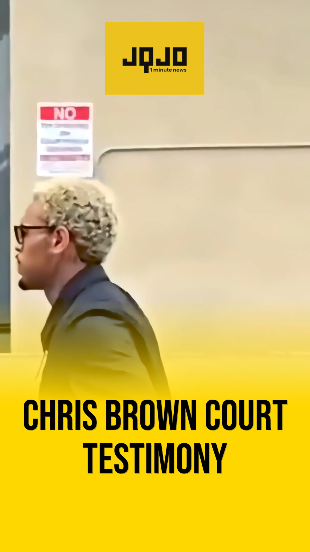 Los Angeles singer Chris Brown testifies in dog attack case