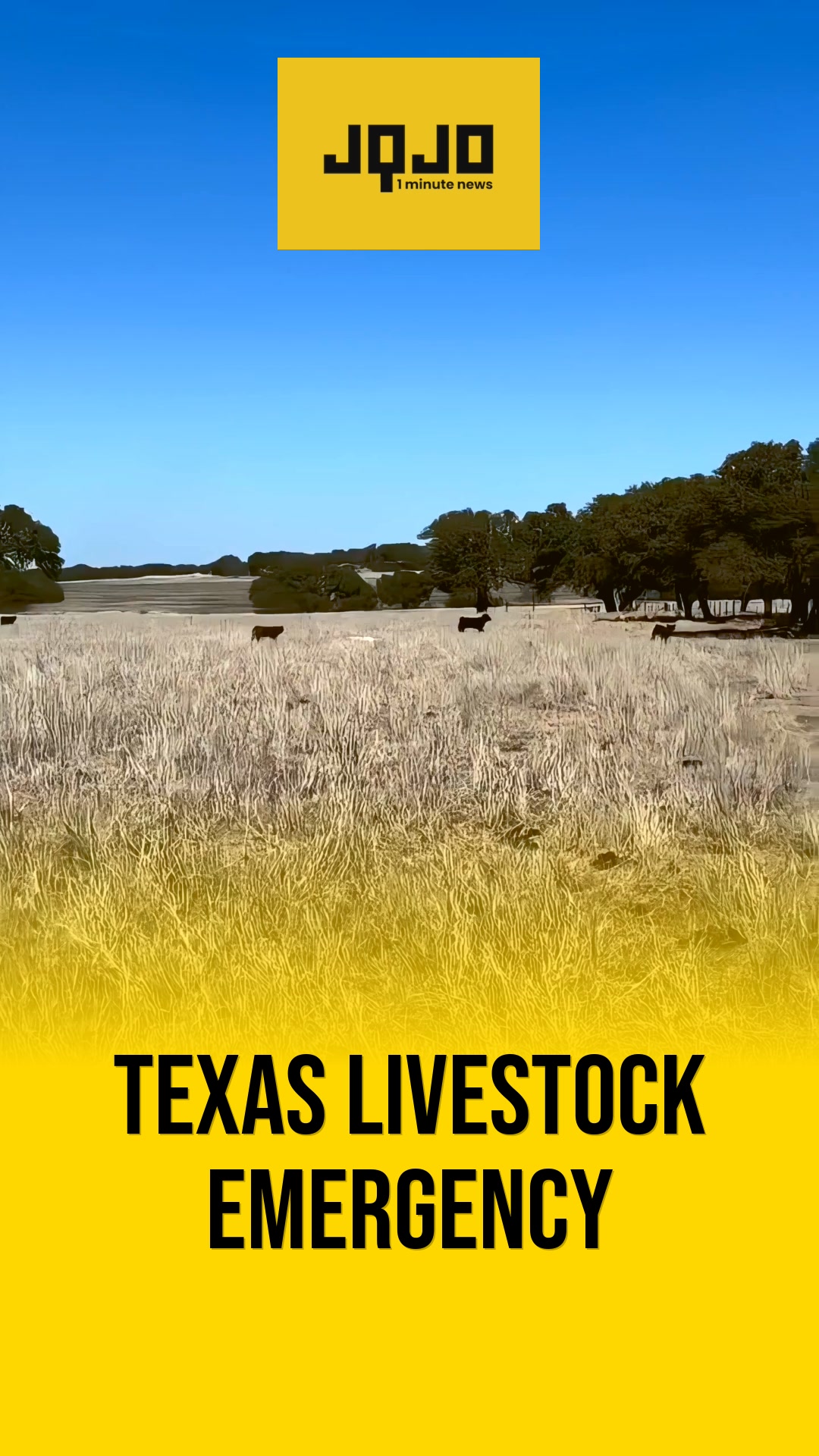 Texas parasite outbreak spreads as livestock quarantined