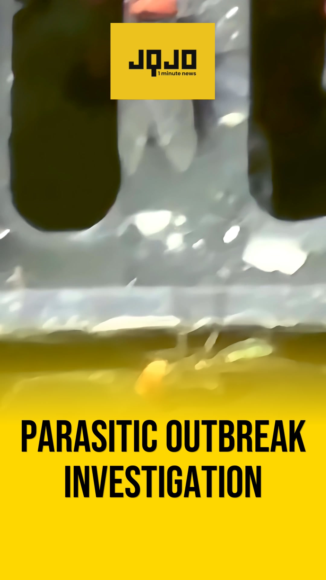 United States investigates multistate Cyclospora parasite outbreak