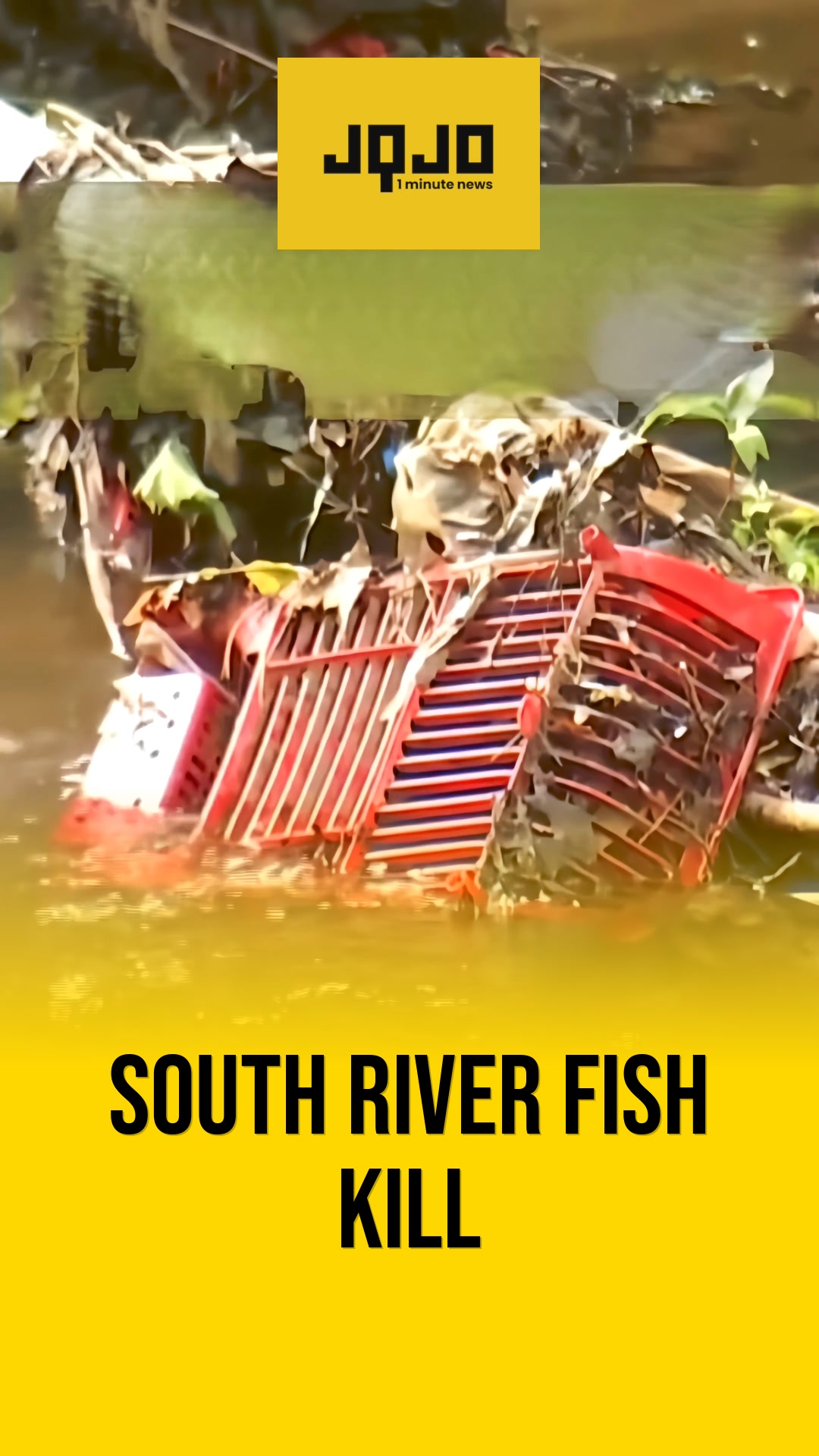 Atlanta investigates chemical-linked fish kill on South River