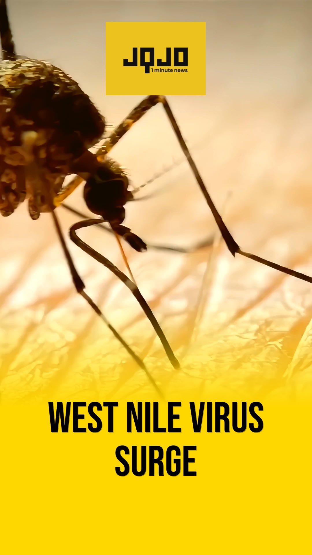 CDC Warns of Worst West Nile Virus Start Since 2004, 23 States Affected