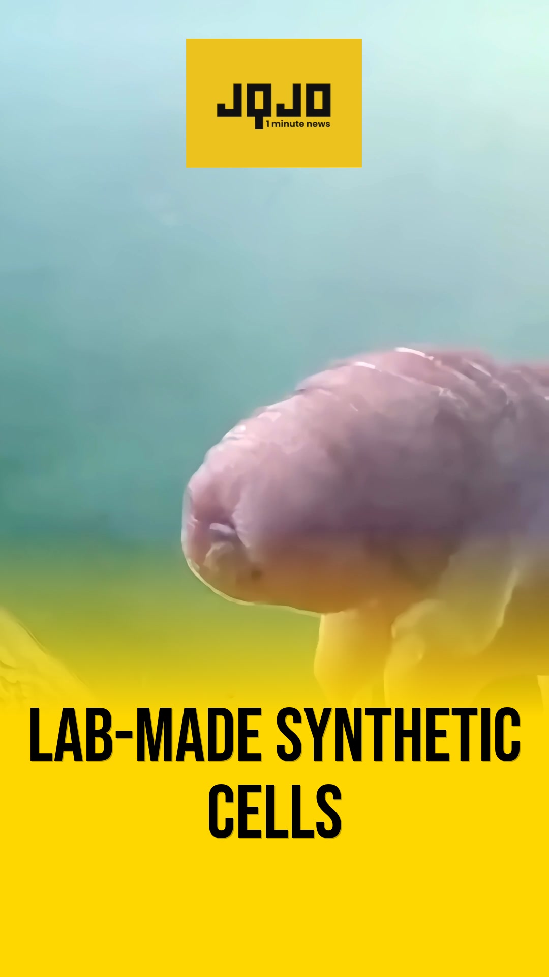 United States scientists build evolving synthetic cell