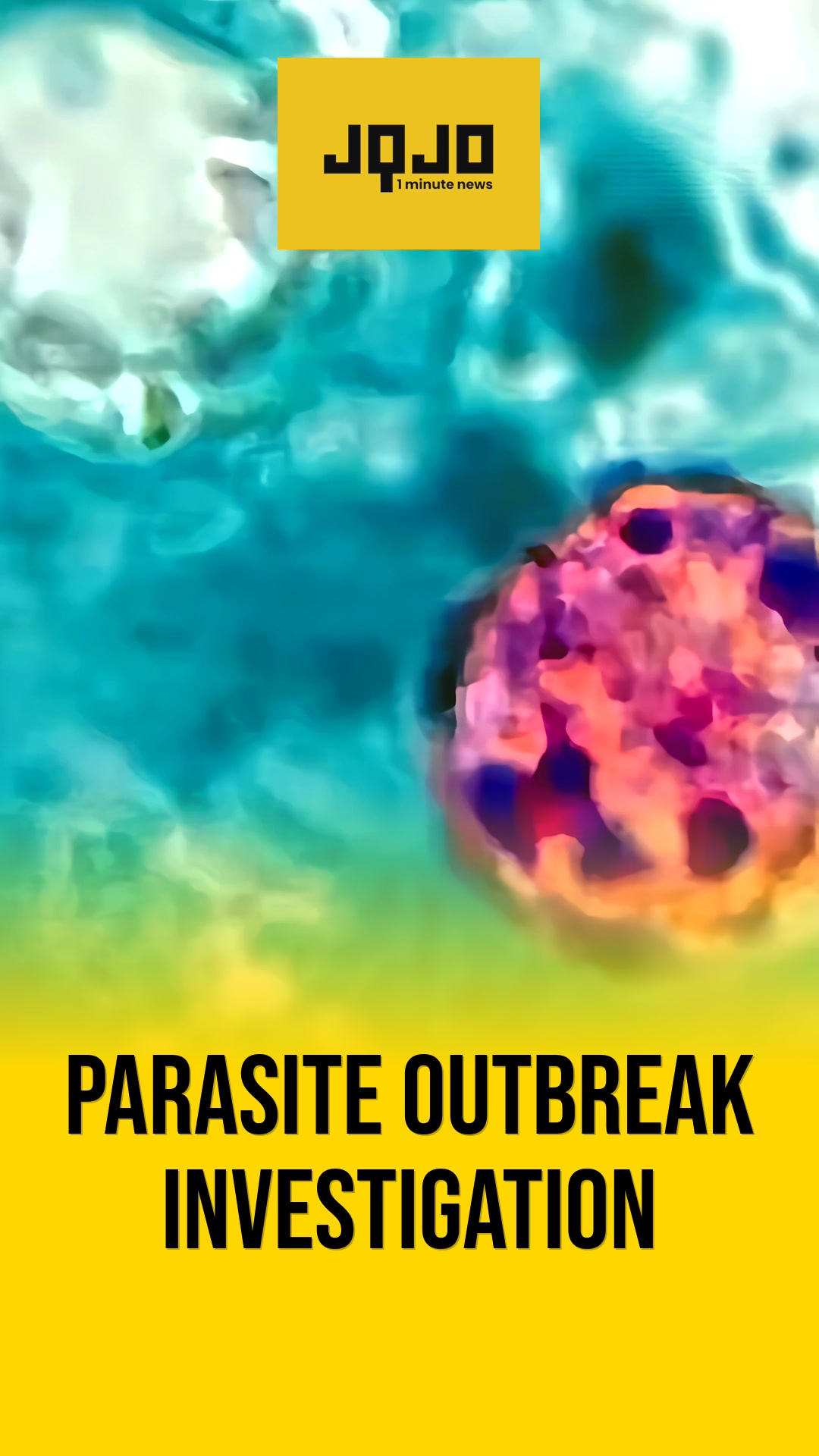 United States investigates multistate cyclosporiasis outbreak source