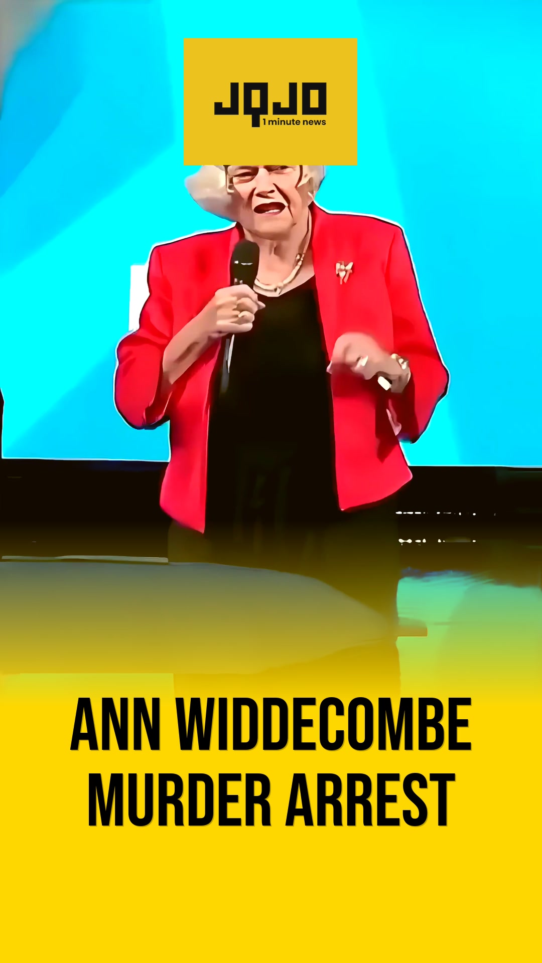Devon police arrest man over Ann Widdecombe killing