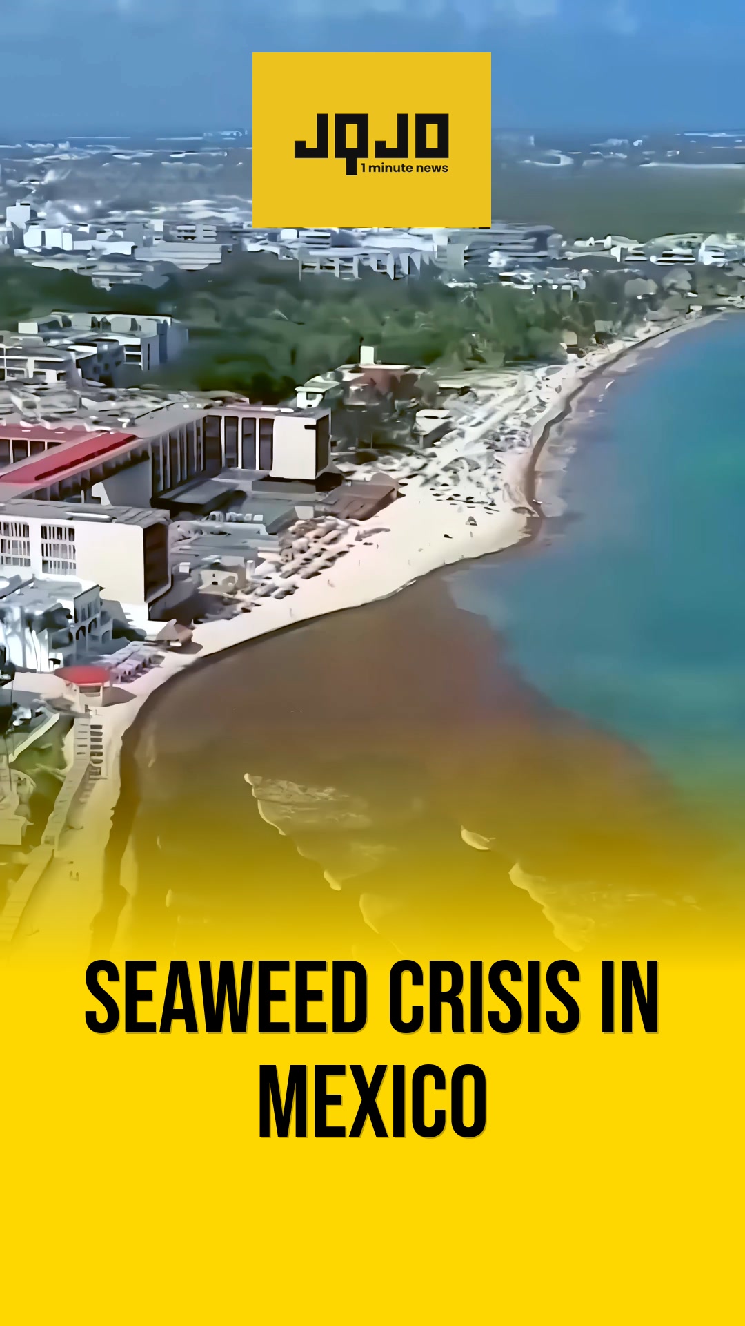 Mexico Caribbean resorts hit by record sargassum invasion