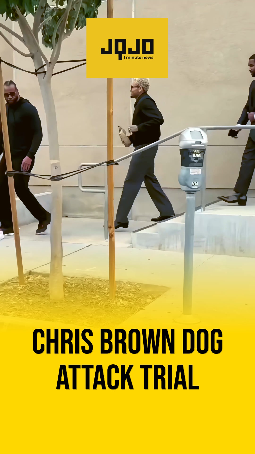 Chris Brown Seeks New Trial And Toss Of $12.9M Dog Attack Verdict