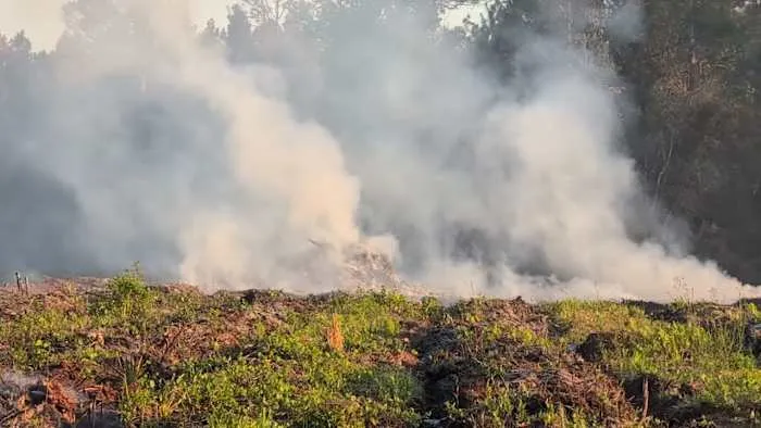 Incendio Ferroviario fusiona siniestros en Clay y Putnam; se eleva contención al 55%